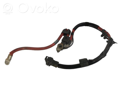 Plusa vads (akumulatora)