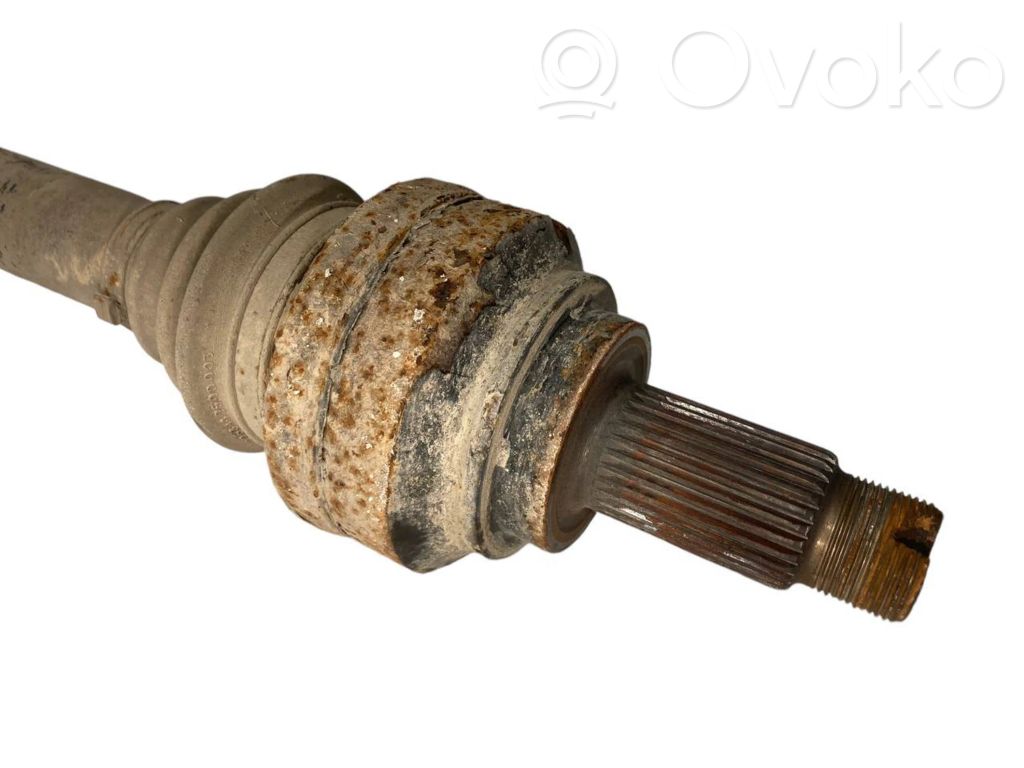 Aizmugurējā pusass