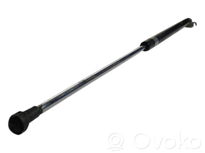 Bagāžnieka amortizators