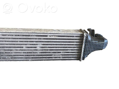 Starpdzesētāja radiators