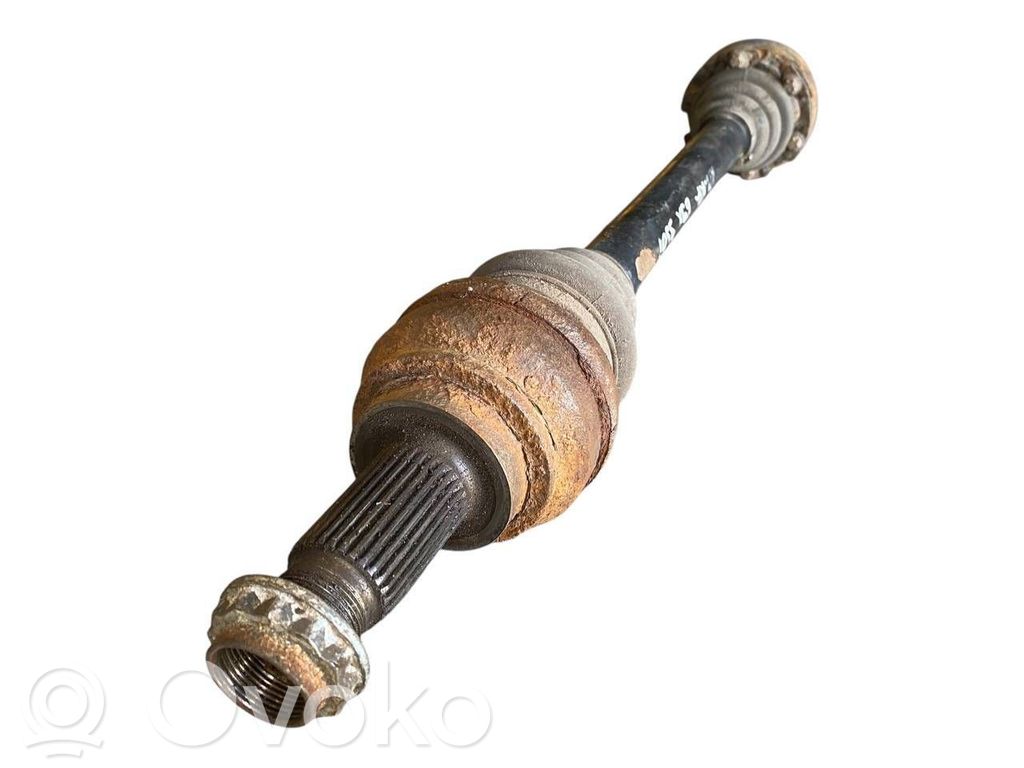 Aizmugurējā pusass