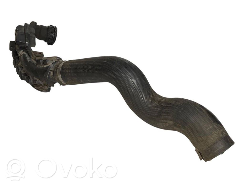 Interkūlera šļūtene (-es) / caurule (-es)
