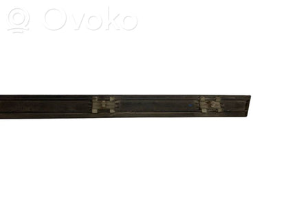 Aizmugurē durvju dekoratīvā apdare (moldings)