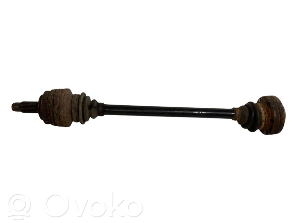 Aizmugurējā pusass