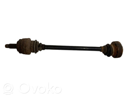 Aizmugurējā pusass