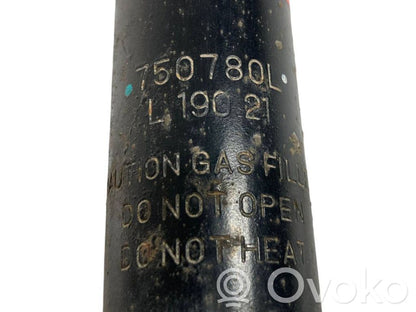 Aizmugurē amortizators