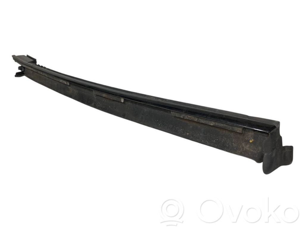 Rear door glass trim