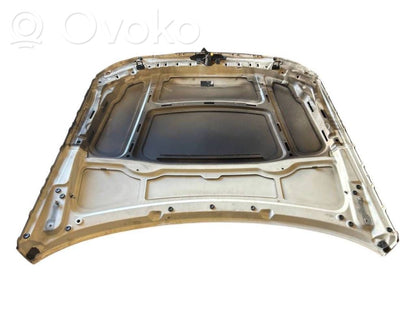 Dzinēja pārsegs (vāks)