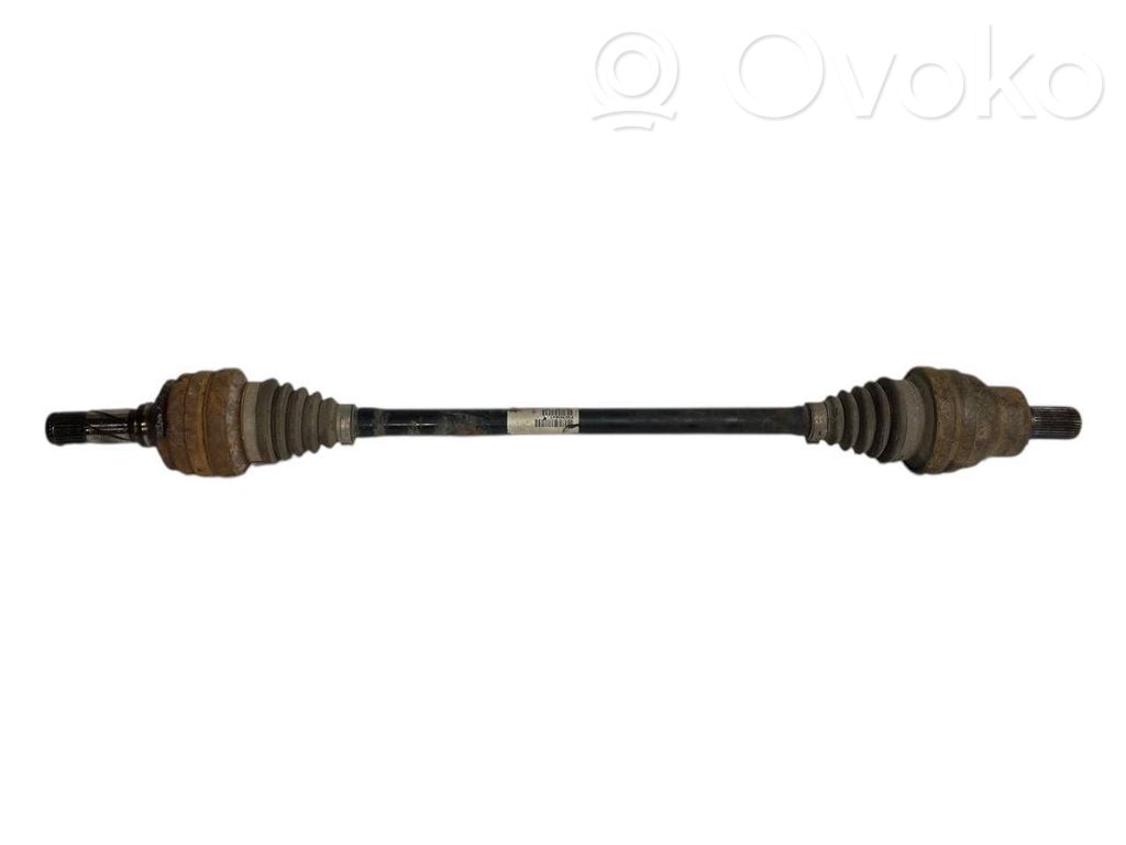 Aizmugurējā pusass