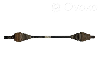 Aizmugurējā pusass