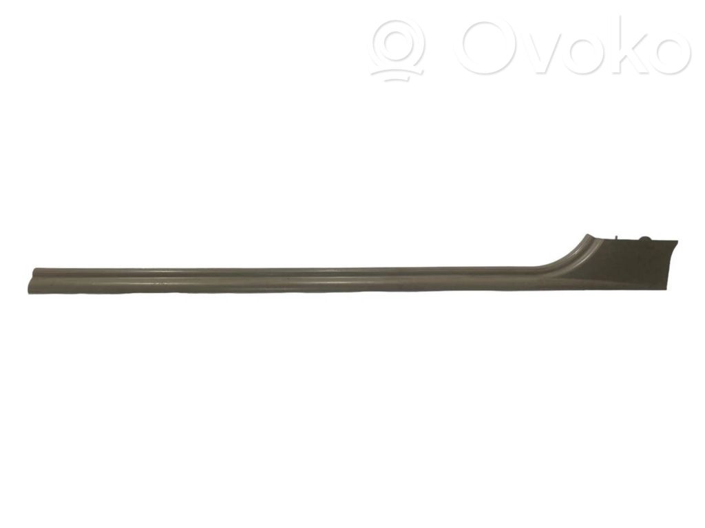Front sill trim (inner)