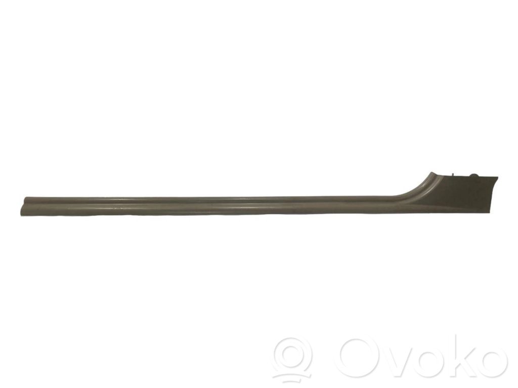 Front sill trim (inner)