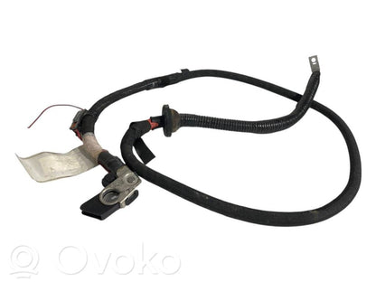 Plusa vads (akumulatora)