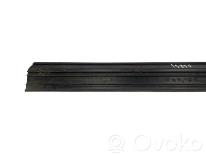 Front sill trim (inner)