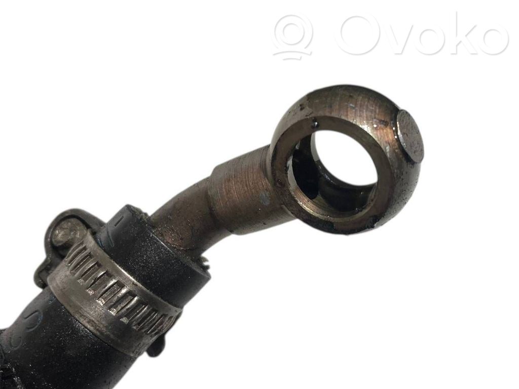 Caurule (-es) / šļūtene (-es)