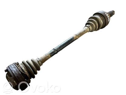 Aizmugurējā pusass