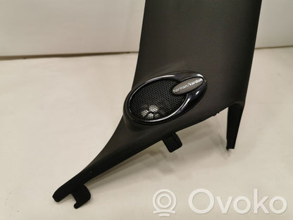 Твитер(ы) в передней двери