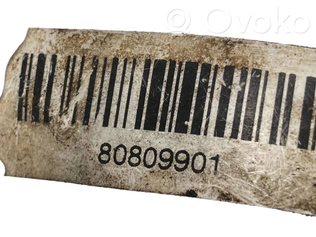 Degvielas caurulīte (-es)