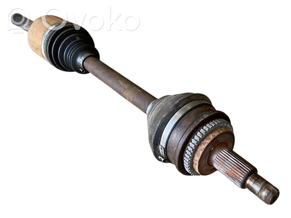Aizmugurējā pusass