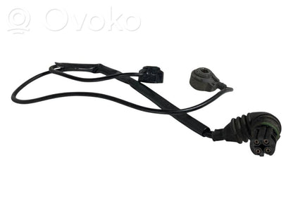 Detonācijas sensors