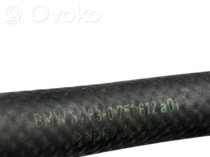 Caurulīte (-es) / šļūtene (-es)