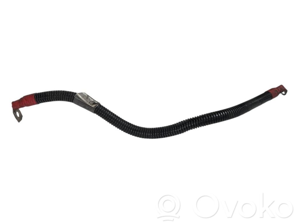 Plusa vads (akumulatora)