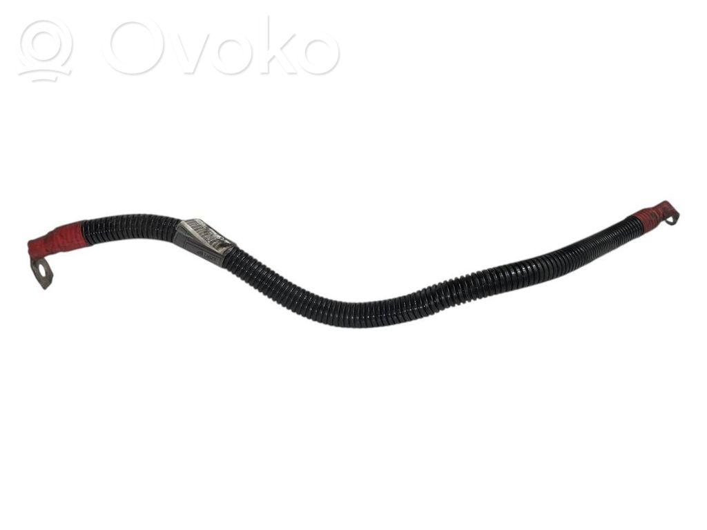 Plusa vads (akumulatora)