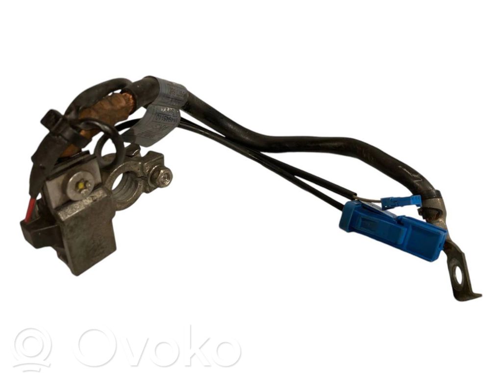 Mīnusa vads (akumulatora)