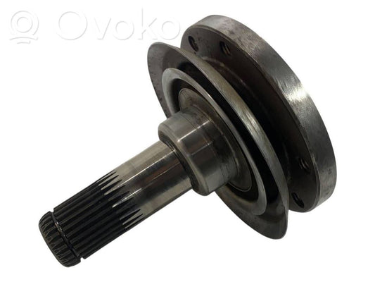 Aizmugurējā pusass