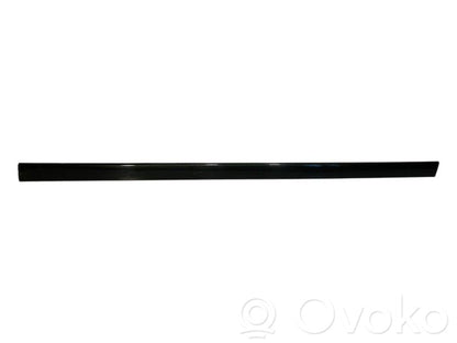 Aizmugurē durvju dekoratīvā apdare (moldings)