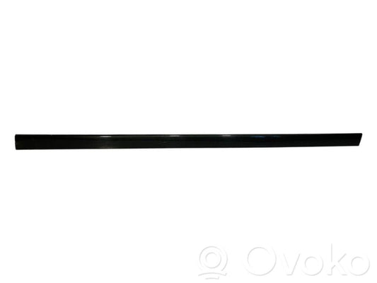 Aizmugurē durvju dekoratīvā apdare (moldings)