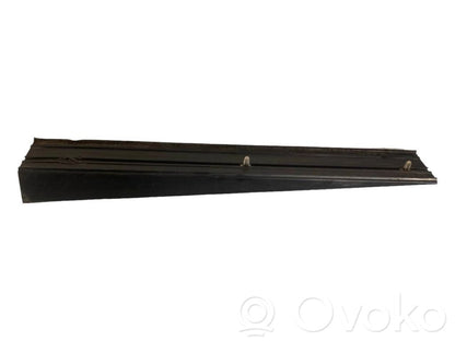 Rear door sill trim (external)