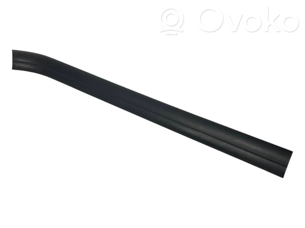 Front sill trim (inner)