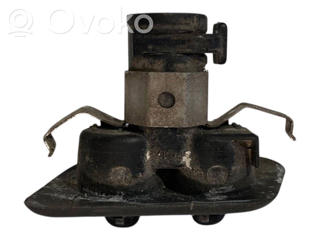 Lukturu mazgātāja sprausla (-as)