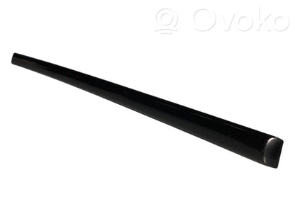 Aizmugurē durvju dekoratīvā apdare (moldings)
