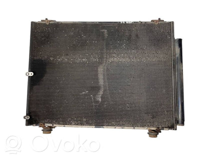 Gaisa kondicioniera dzeses radiators