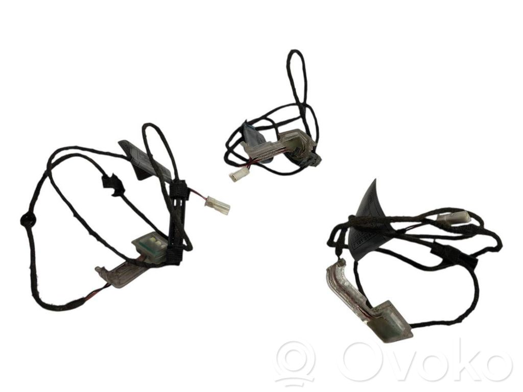 Priekšējo durvju roktura apgaismojums (ārpusē)