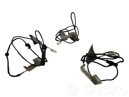 Priekšējo durvju roktura apgaismojums (ārpusē)