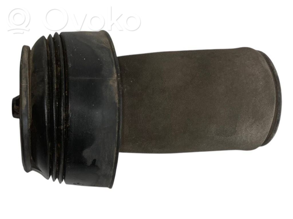 Aizmugurē gaisa spilvens