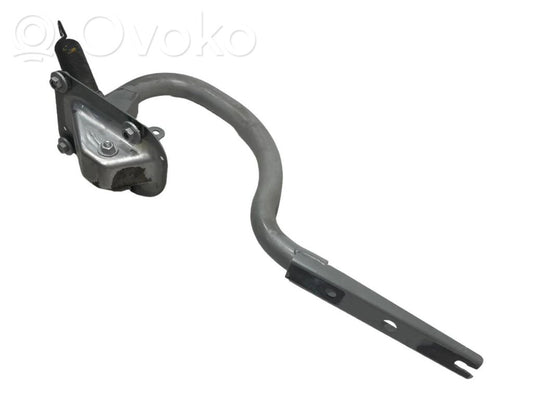 Задняя крышка петли(ей)