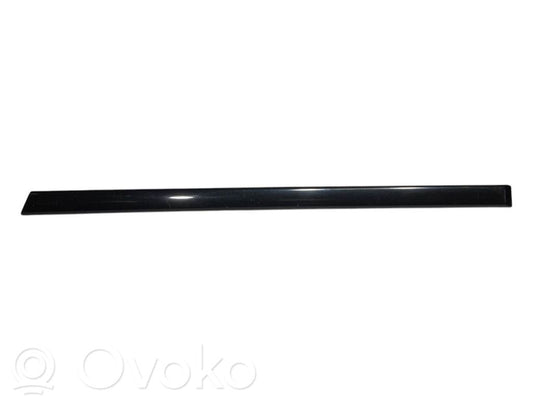 Aizmugurē durvju dekoratīvā apdare (moldings)