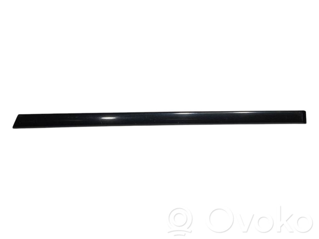 Aizmugurē durvju dekoratīvā apdare (moldings)
