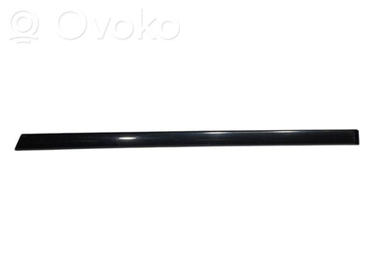 Rear door decorative trim (moulding)