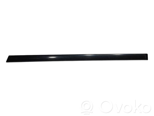 Aizmugurē durvju dekoratīvā apdare (moldings)