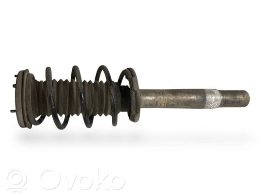 Front shock absorber with spring