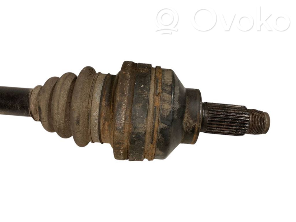 Aizmugurējā pusass