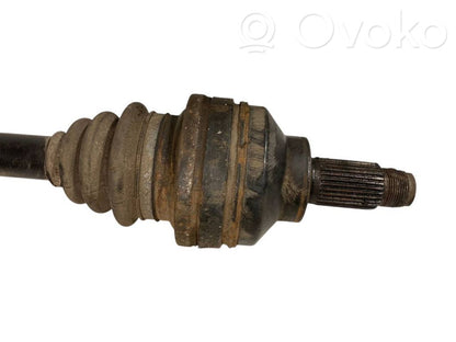 Aizmugurējā pusass