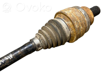 Aizmugurējā pusass