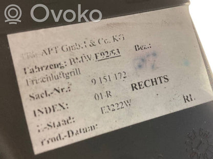 Sānu gaisa režģis