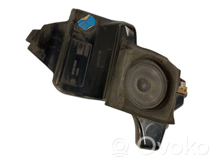 Speaker(s) in the rear door